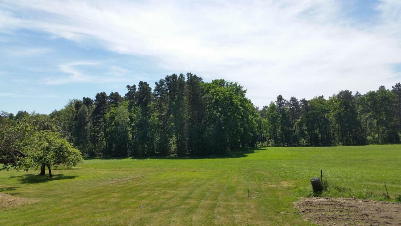 Ferienwohnung "Am Weinberg" Bad Schmiedeberg Luaran gambar